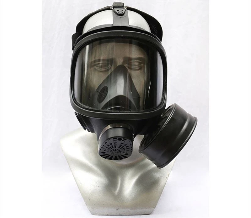 Gas Mask (4)